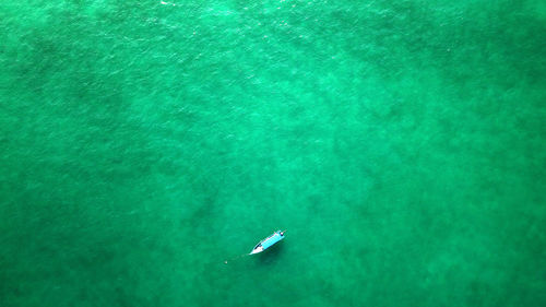 High angle view of swimming in sea