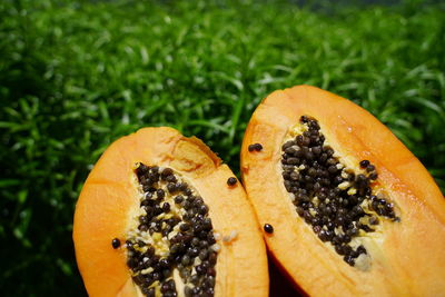 Close-up of orange slice