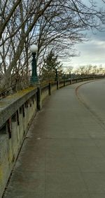 Footpath leading towards bare trees