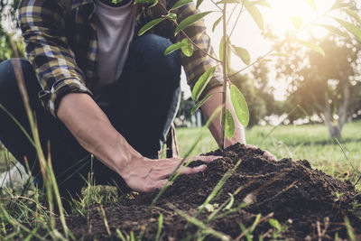 Low section of man planting on field