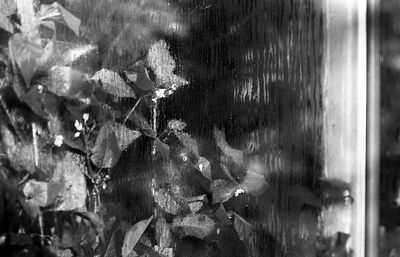 Full frame shot of wet glass window