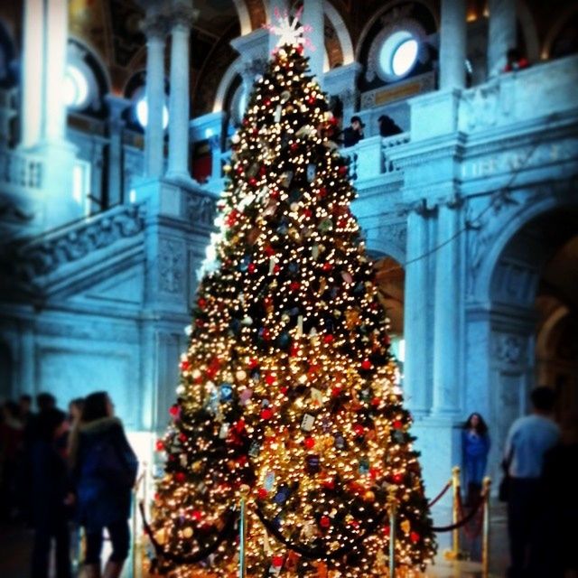 religion, large group of people, spirituality, celebration, illuminated, flower, person, hanging, architecture, place of worship, decoration, christmas tree, built structure, tradition, christmas, freshness, men, night