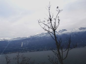 Bare trees on snow covered landscape against sky