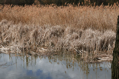 Scenic view of water