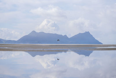 View of birds flying over lake against cloudy sky