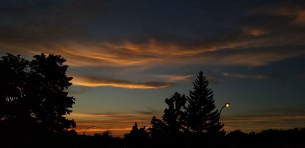 Low angle view of silhouette trees against orange sky