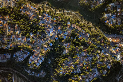 High angle view of trees and buildings in city