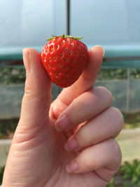 Close-up of hand holding strawberry