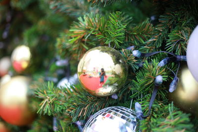 Close-up of christmas tree