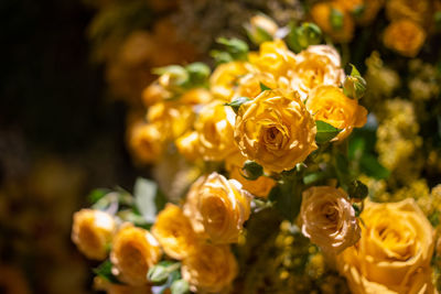 Close-up of rose bouquet