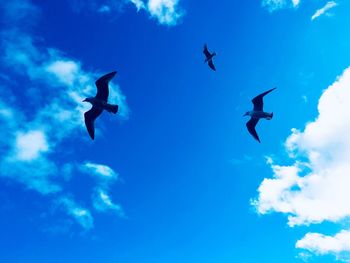 Low angle view of silhouette birds flying against blue sky