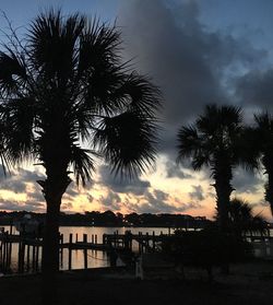 Silhouette palm trees against sky during sunset