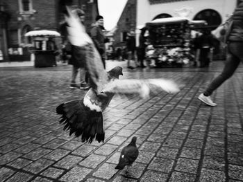 Man feeding birds in city