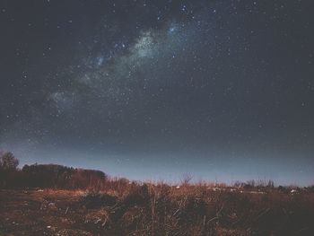 Low angle view of star field against star field