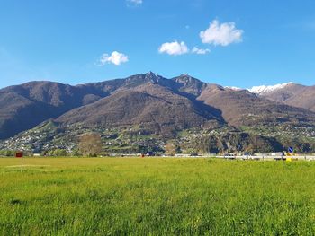 Scenic view of field against sky