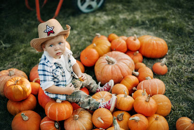 Full frame shot of pumpkins