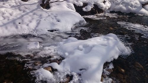 Close-up of snow on tree during winter