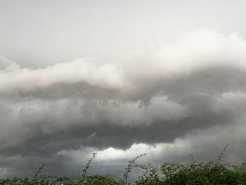 Low angle view of trees against cloudy sky