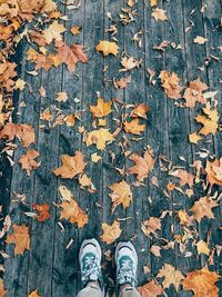 Low section of person standing on dry leaves