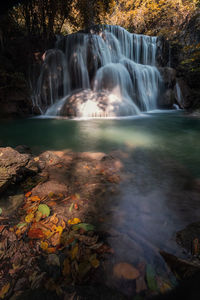 Scenic view of waterfall in forest