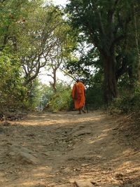 Rear view of man walking amidst trees