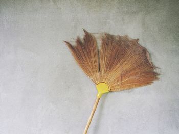 Directly above shot of yellow leaf on wall