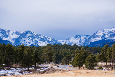 Trees and snowcapped mountains against sky