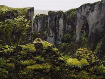 Scenic view of rocks in forest against sky