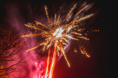 Low angle view of firework display at night