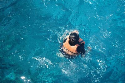 High angle view of woman in swimming pool