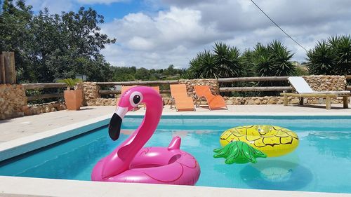 High angle view of various floating on swimming pool against sky