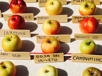 Directly above shot of apples in container