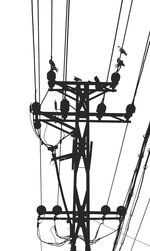 Low angle view of birds perching on electricity pylon against clear sky