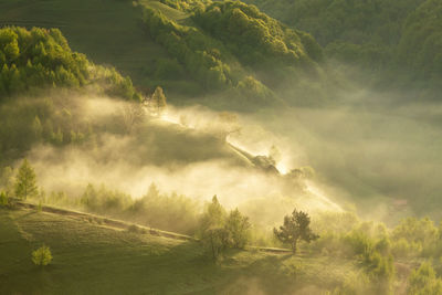 Scenic view of field