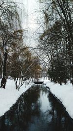 Scenic view of frozen canal by trees during winter