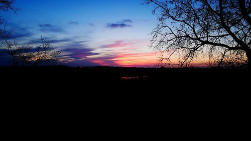 Silhouette of trees at sunset