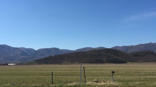Scenic view of field and mountains against clear blue sky