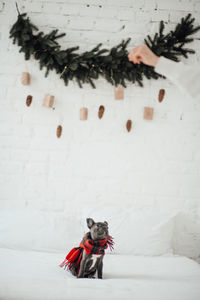 High angle view of woman standing on bed