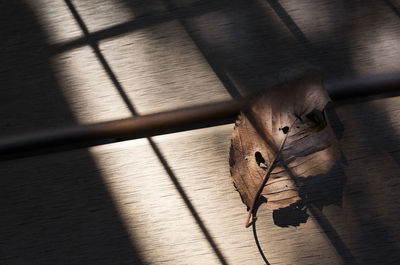 High angle view of shadow on table