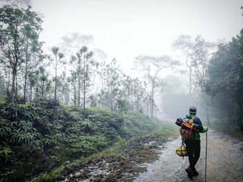 Rear view of man walking on road against sky during foggy weather