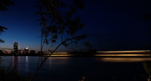 Silhouette plants by illuminated city against sky at night