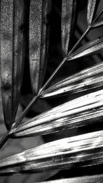 Full frame shot of tiled floor