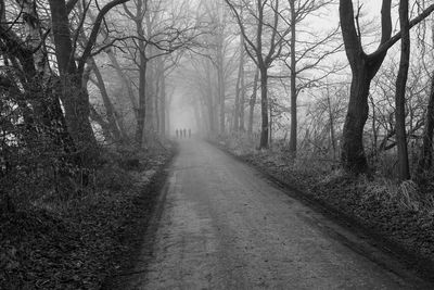 Road amidst trees in forest during autumn