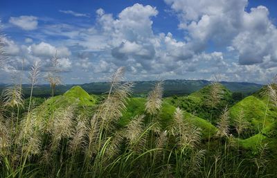Scenic view of landscape against cloudy sky