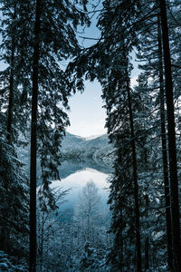 Scenic view of snowcapped mountains against sky during winter