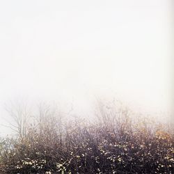 Scenic view of silhouette field against sky