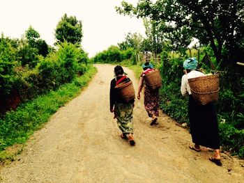 Rear view of people walking on road amidst trees