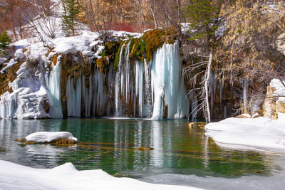 Panoramic shot of frozen lake in forest