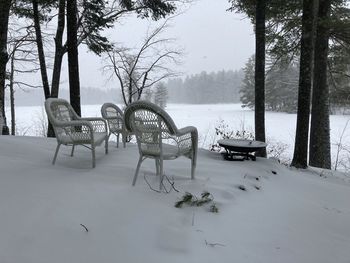 Scenic view of snow covered field