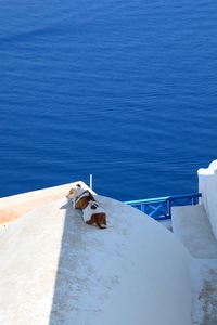 High angle view of built structure by sea